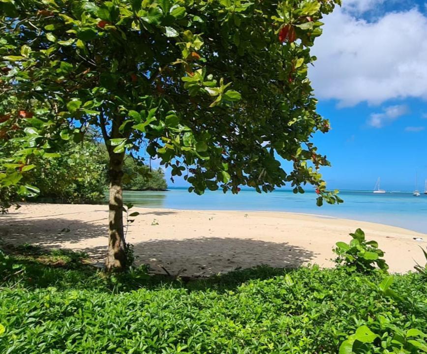 Huahine Manta Lodge Avec 4X4 Optionnel Haapu エクステリア 写真