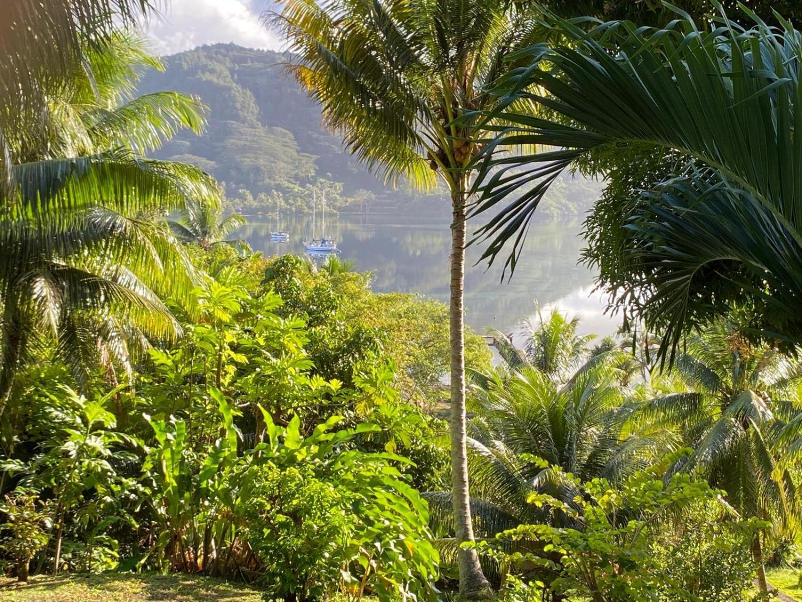 Huahine Manta Lodge Avec 4X4 Optionnel Haapu エクステリア 写真