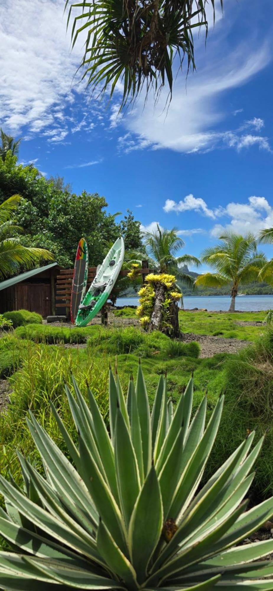 Huahine Manta Lodge Avec 4X4 Optionnel Haapu エクステリア 写真